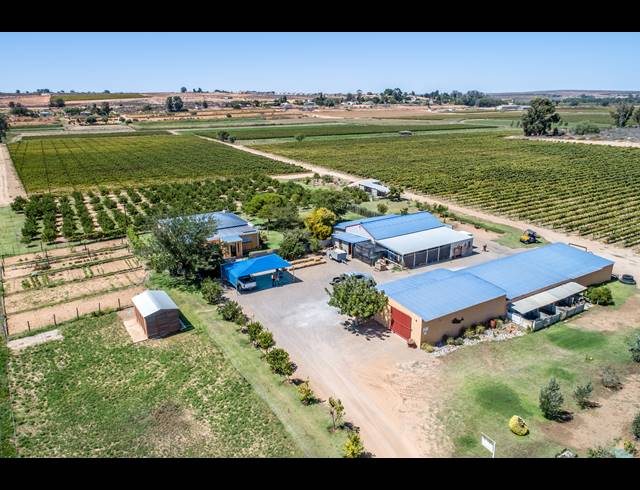 268,479M² FARM FOR SALE IN KOEKENAAP